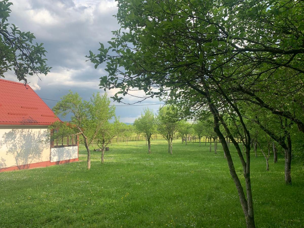 Willa La Prairie Korenica Zewnętrze zdjęcie